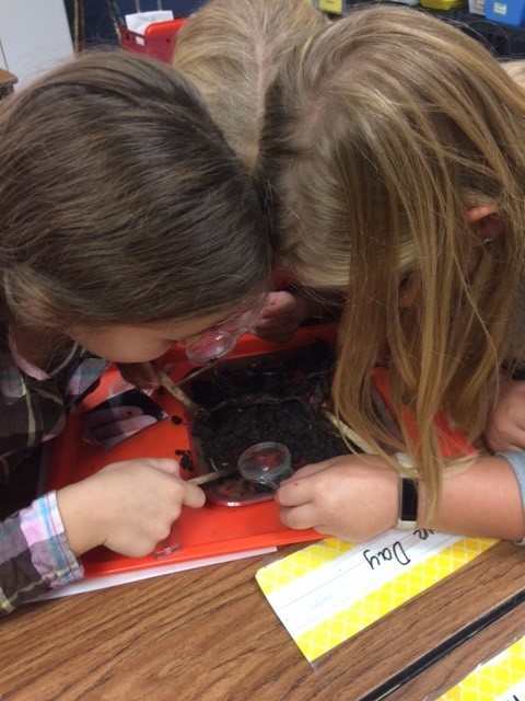 kids looking closely at dirt